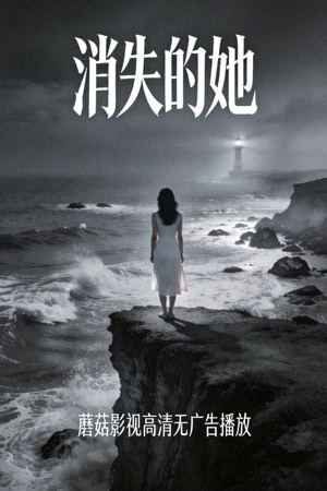 悬疑电影《消失的她》剧照海报 - 蘑菇影视高清无广告播放